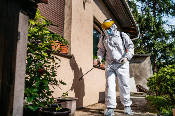 Best Termite Control Services  in Columbus, KS