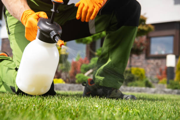 Reliable Columbus, KS Pest Control Solutions