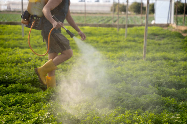 Best Pest Control Cost  in Columbus, KS