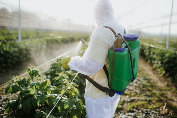 Best Affordable Pest Control Services  in Columbus, KS